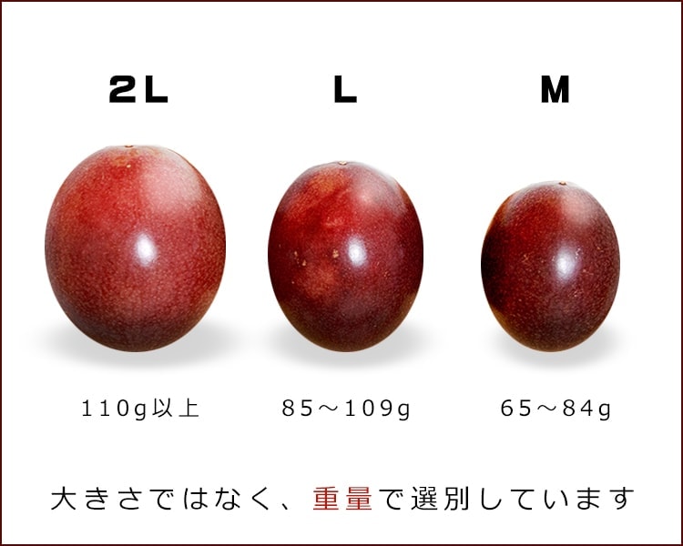 パッションフルーツサイズ比較