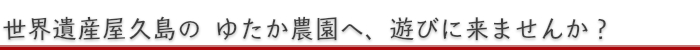 世界遺産屋久島のゆたか農園へ、遊びに来ませんか？