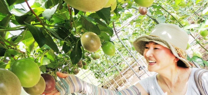 屋久島ゆたか農園へ訪れたお客様