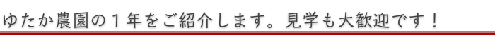 パッションフルーツゆたか農園１年の作業を紹介します。