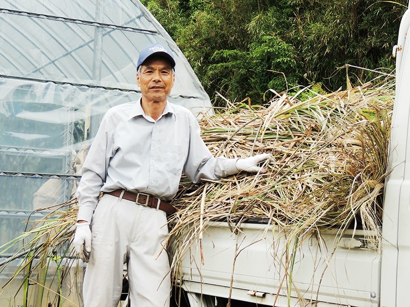 屋久島ゆたかさんのパッションフルーツ＠ゆたか農園