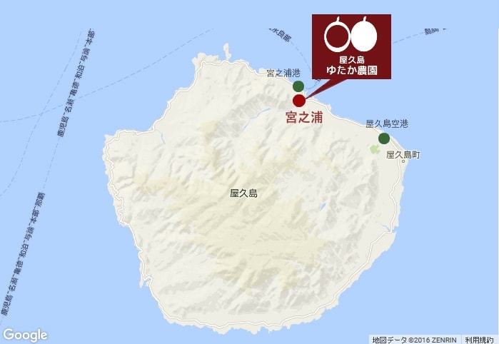 ゆたか農園の場所＠屋久島ゆたかさんのパッションフルーツ