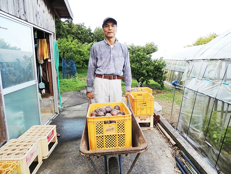 屋久島ゆたかさんのパッションフルーツ＠ゆたか農園