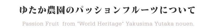 ゆたか農園のパッションフルーツについて